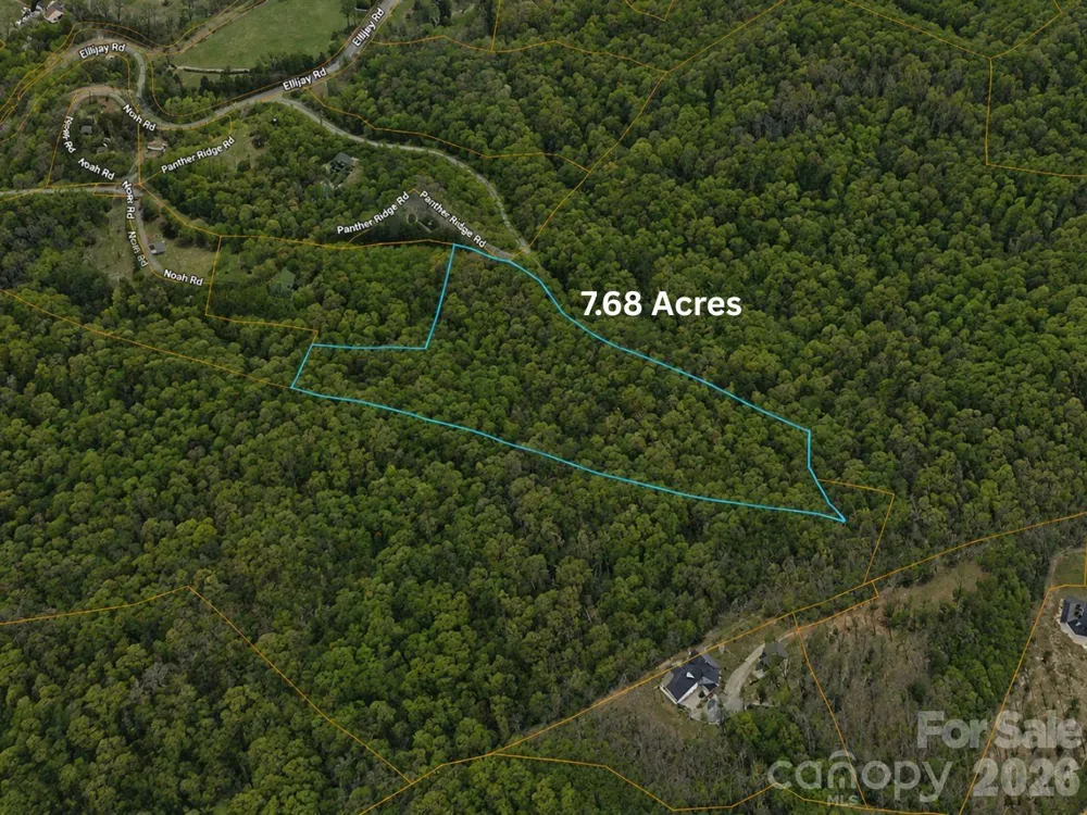 TBD1 Panther Ridge Lane Franklin, NC 28734