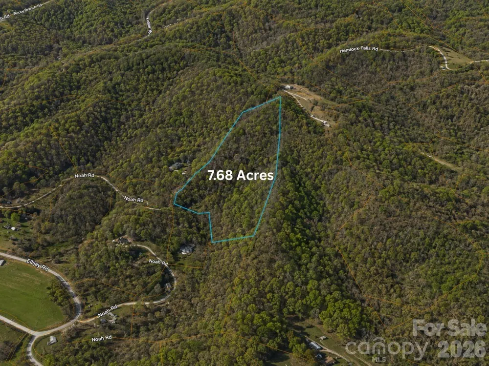 TBD1 Panther Ridge Lane Franklin, NC 28734