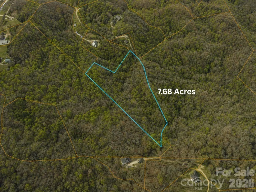 TBD1 Panther Ridge Lane Franklin, NC 28734