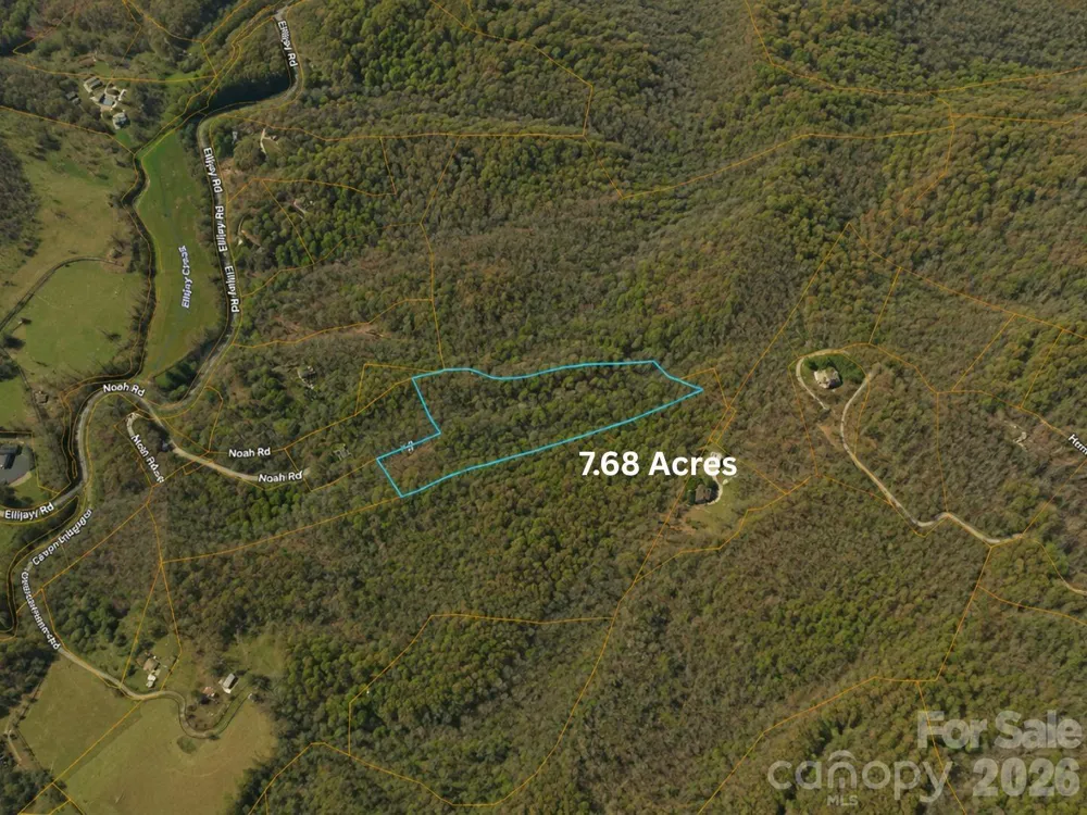 TBD1 Panther Ridge Lane Franklin, NC 28734