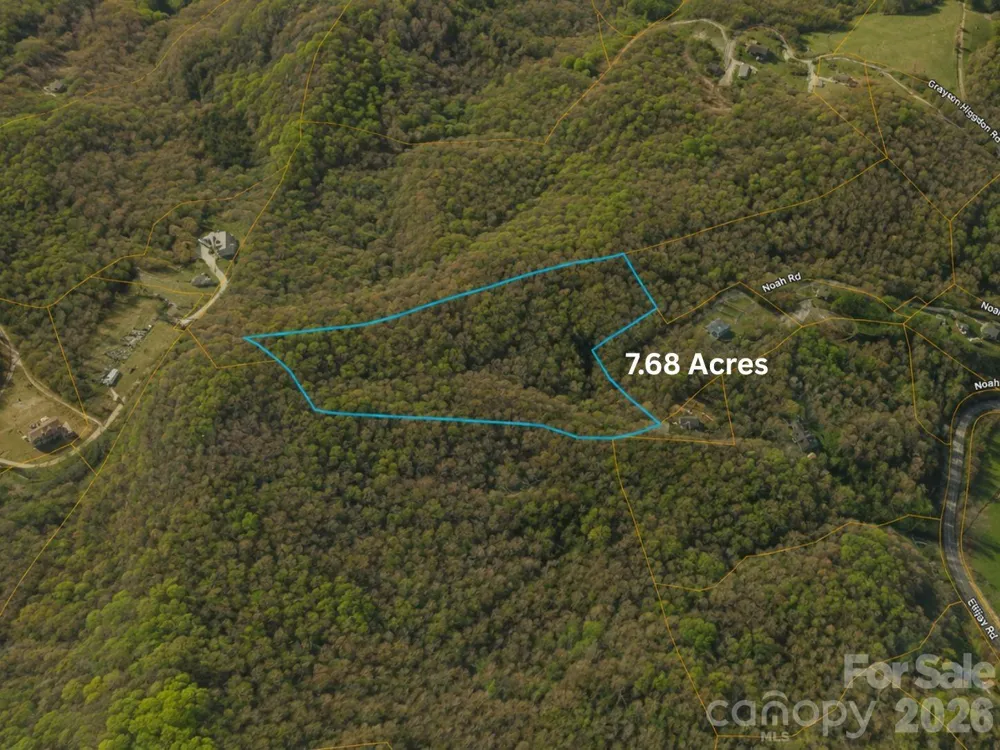 TBD1 Panther Ridge Lane Franklin, NC 28734