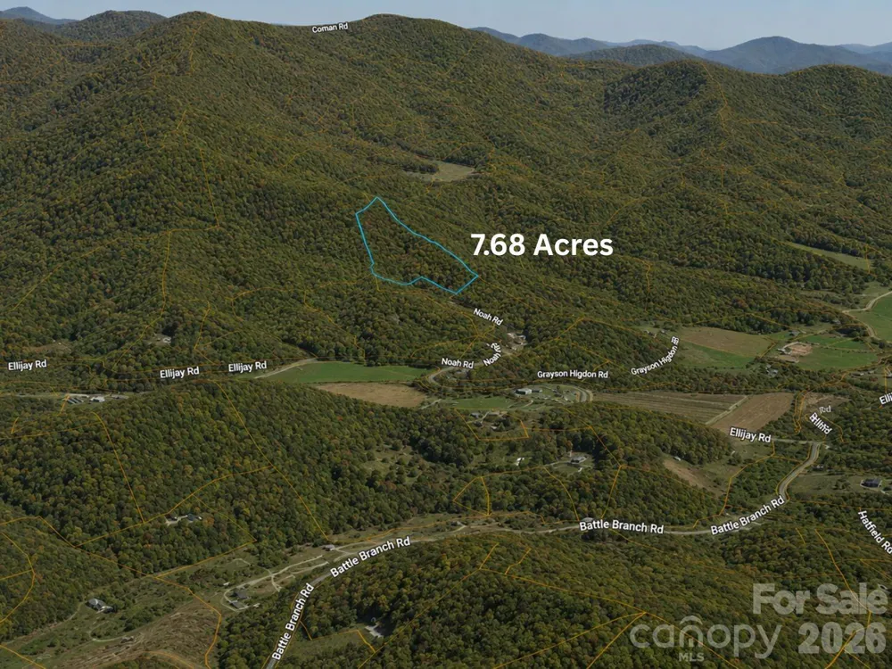 TBD1 Panther Ridge Lane Franklin, NC 28734