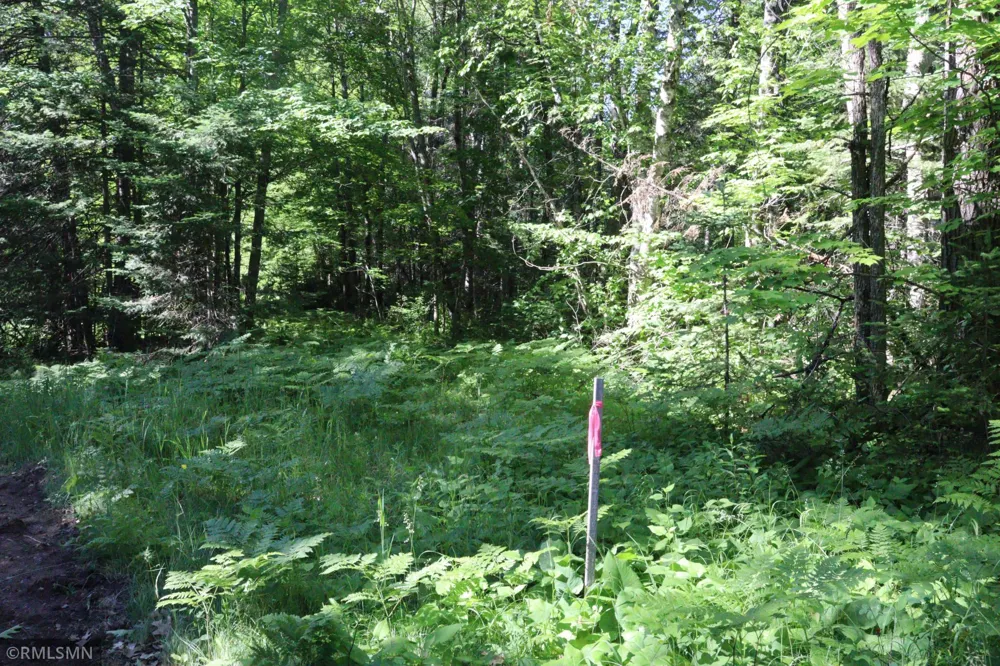 TBD Sawmill Road Kerrick, MN 55756