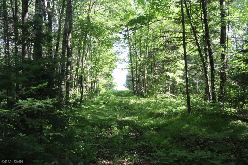 TBD Sawmill Road Kerrick, MN 55756