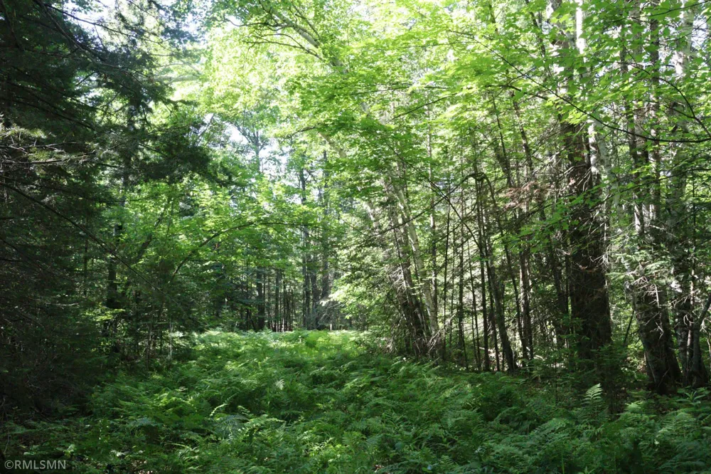 TBD Sawmill Road Kerrick, MN 55756