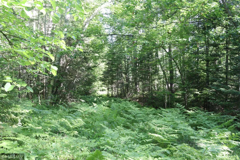 TBD Sawmill Road Kerrick, MN 55756