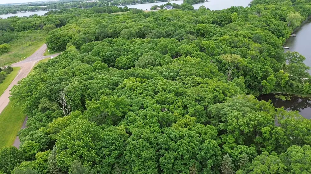 TBD W Lake Ida Lane Pelican Rapids, MN 56572
