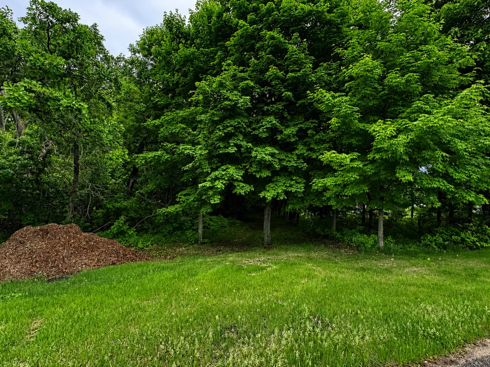 TBD W Lake Ida Lane Pelican Rapids, MN 56572