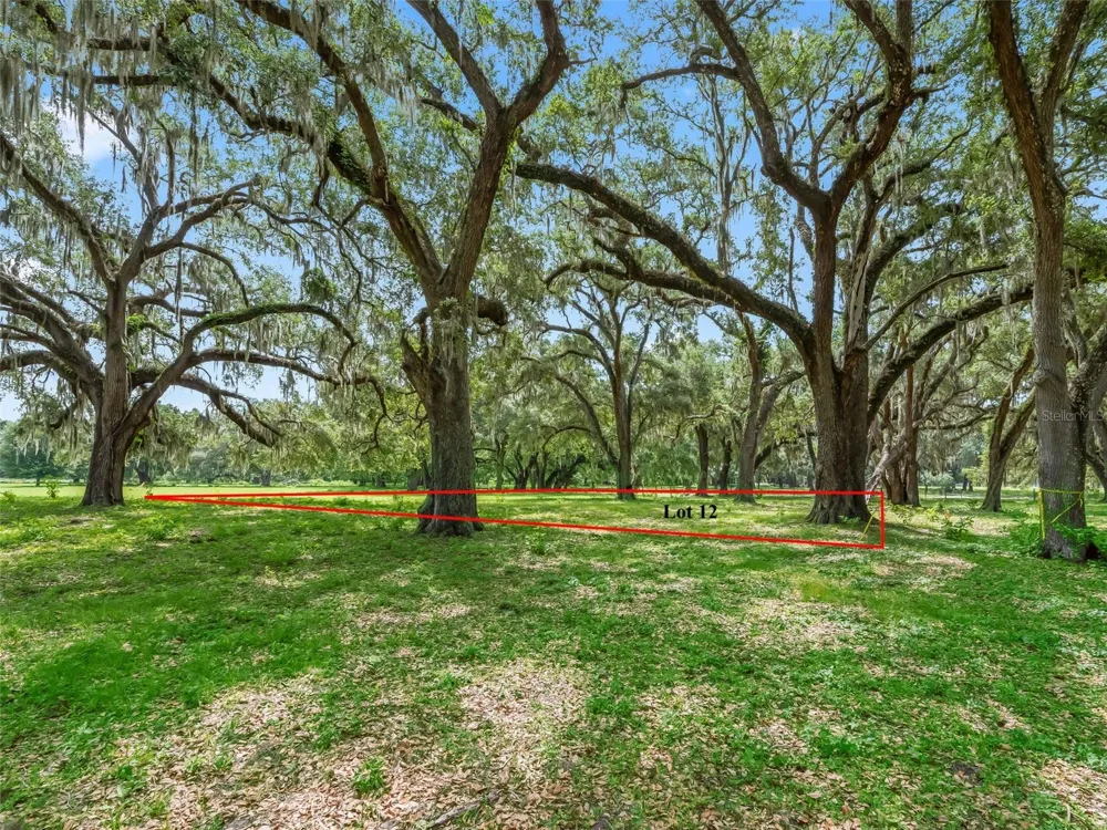 Lot 12 CR 543 Bushnell, FL 33513