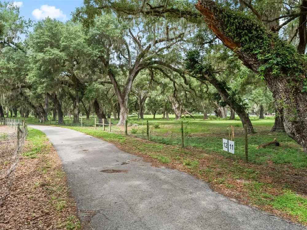 Lot 12 CR 543 Bushnell, FL 33513