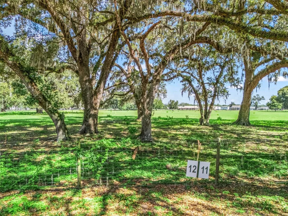 Lot 12 CR 543 Bushnell, FL 33513