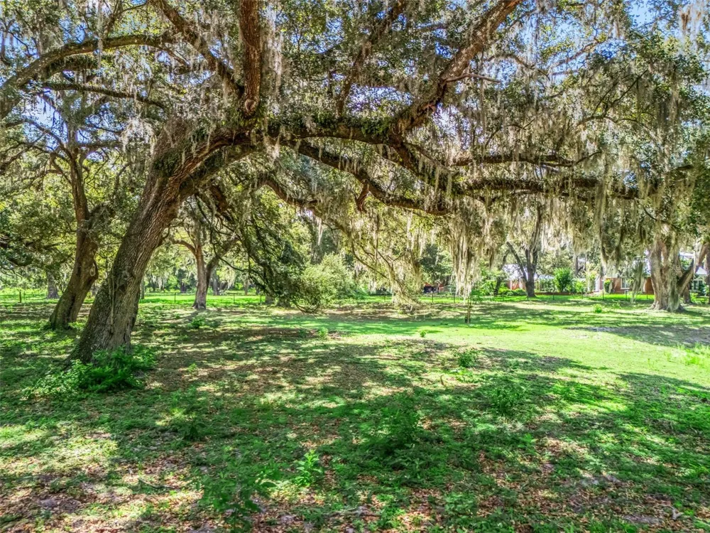 Lot 12 CR 543 Bushnell, FL 33513