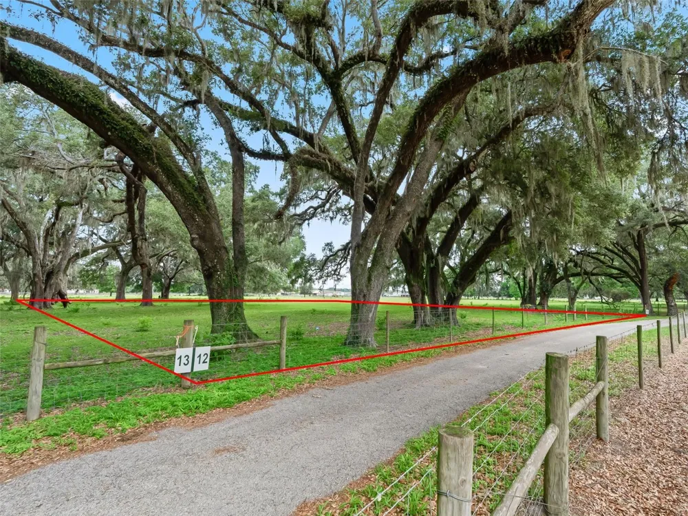 Lot 12 CR 543 Bushnell, FL 33513