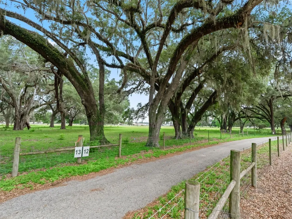 Lot 12 CR 543 Bushnell, FL 33513
