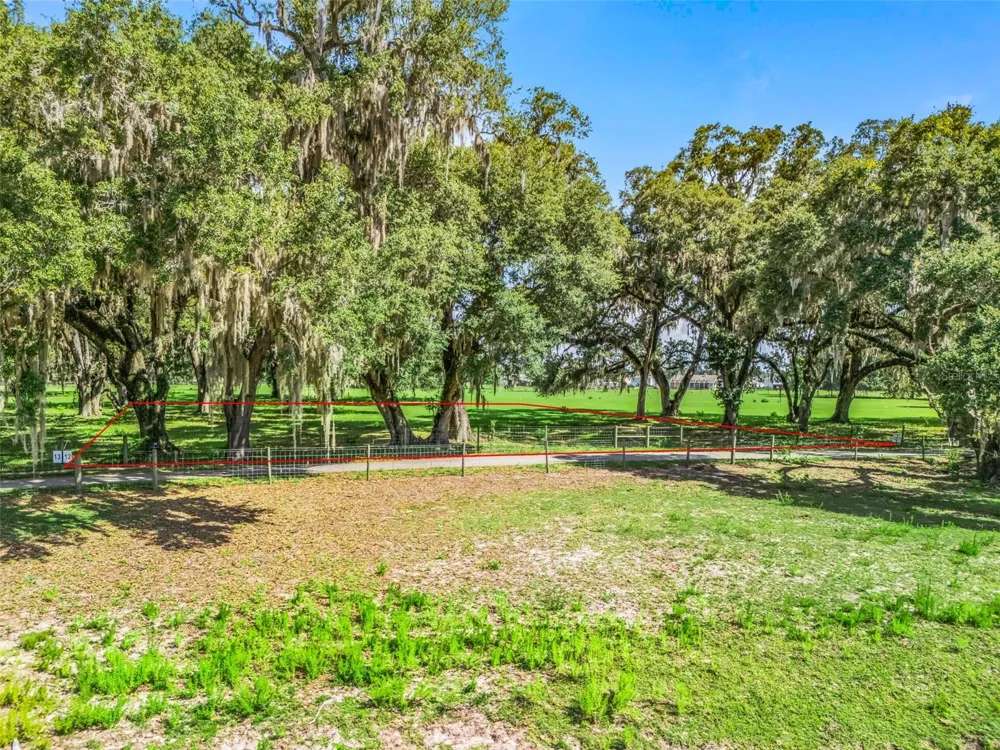Lot 12 CR 543 Bushnell, FL 33513