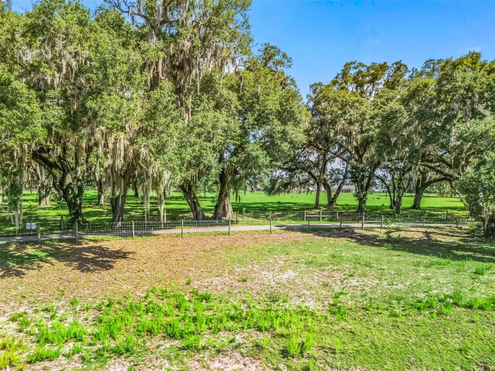 Lot 12 CR 543 Bushnell, FL 33513