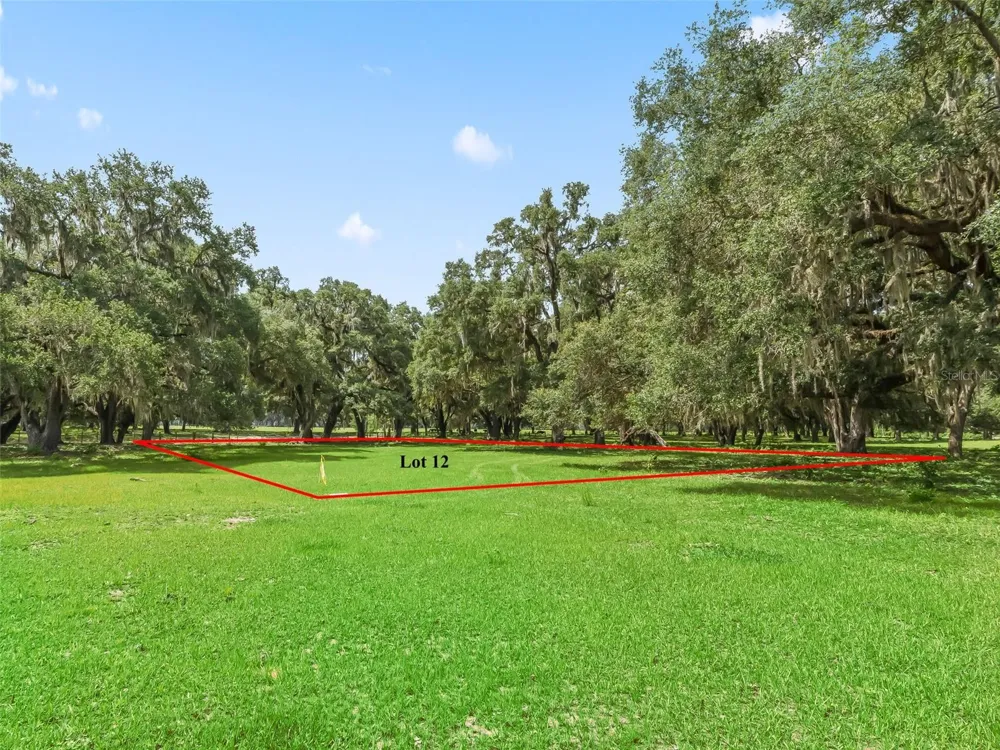 Lot 12 CR 543 Bushnell, FL 33513