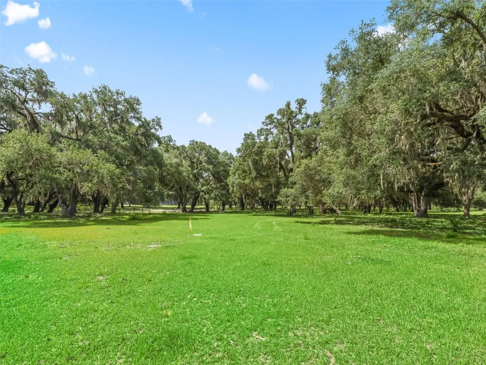 Lot 12 CR 543 Bushnell, FL 33513