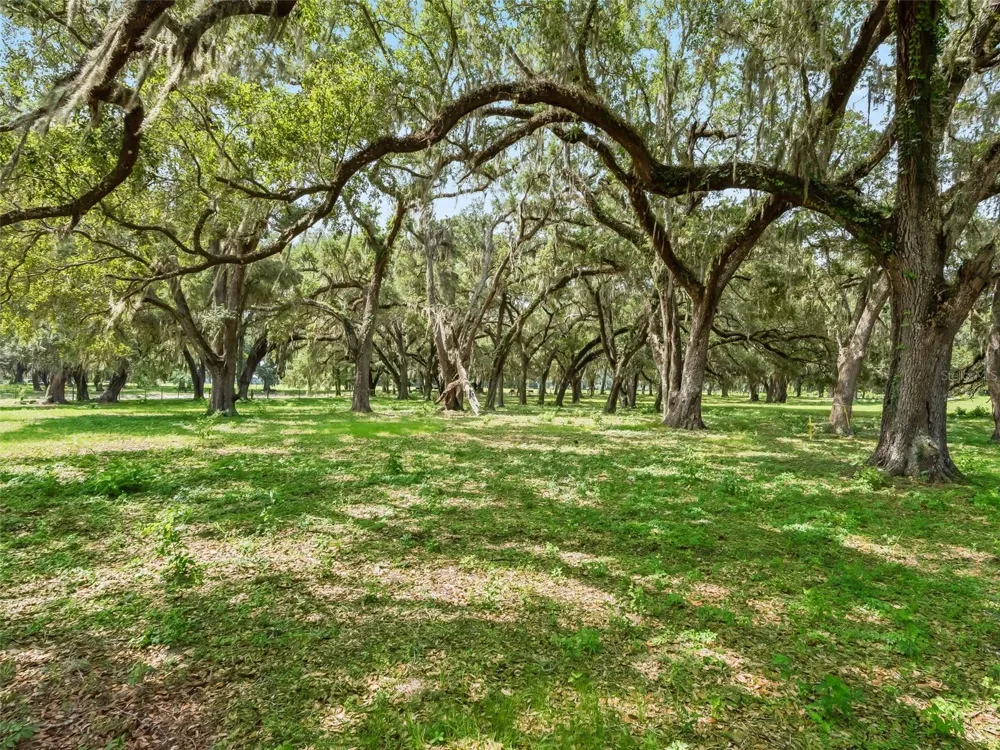 Lot 12 CR 543 Bushnell, FL 33513