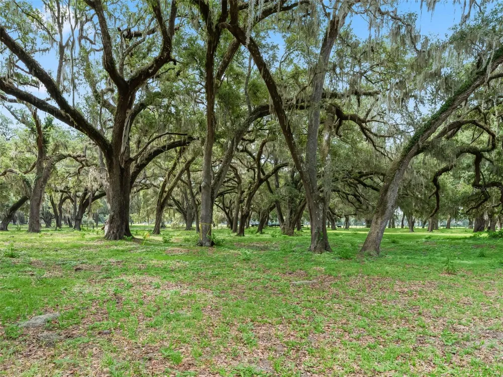 Lot 12 CR 543 Bushnell, FL 33513
