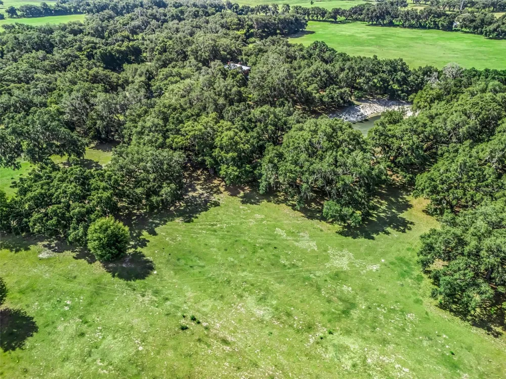 Lot 12 CR 543 Bushnell, FL 33513