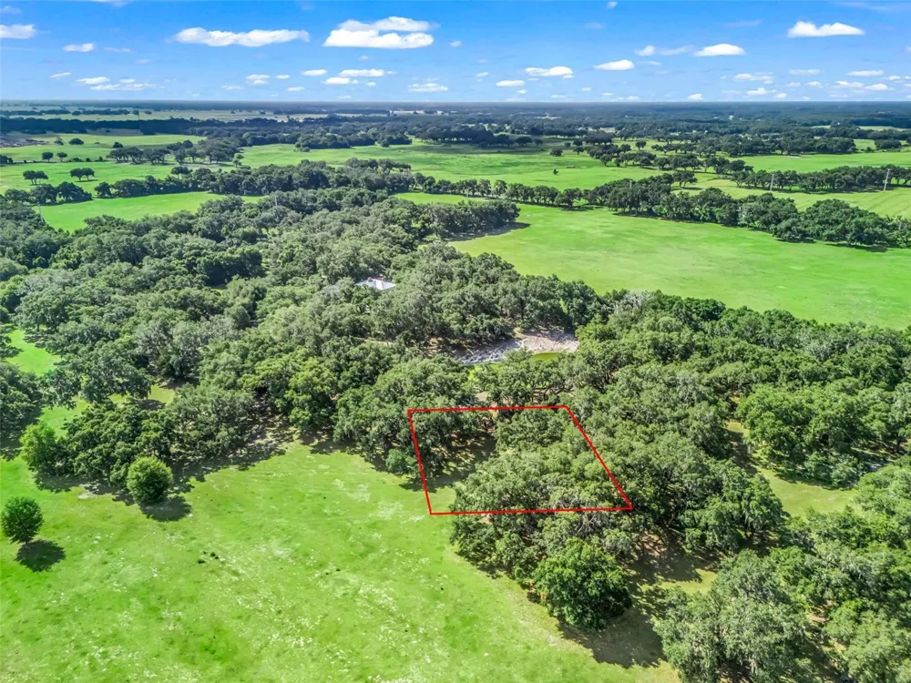 Lot 12 CR 543 Bushnell, FL 33513
