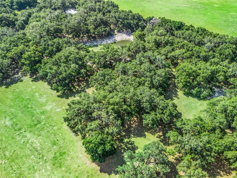 Lot 12 CR 543 Bushnell, FL 33513
