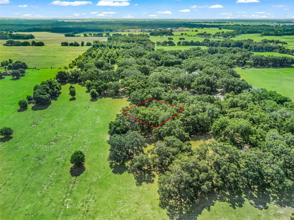 Lot 12 CR 543 Bushnell, FL 33513