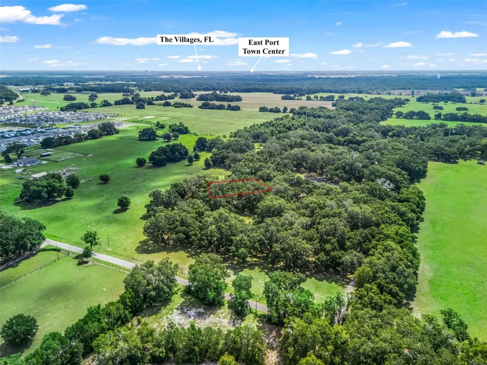 Lot 12 CR 543 Bushnell, FL 33513
