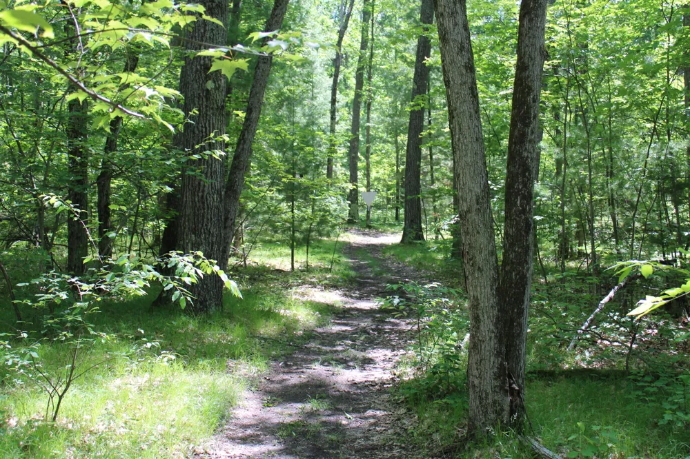 11870 Bayer Road Roscommon, MI 48653