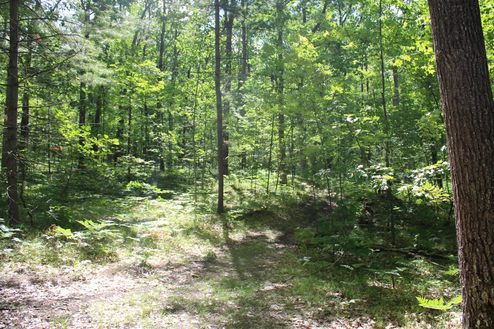 11870 Bayer Road Roscommon, MI 48653