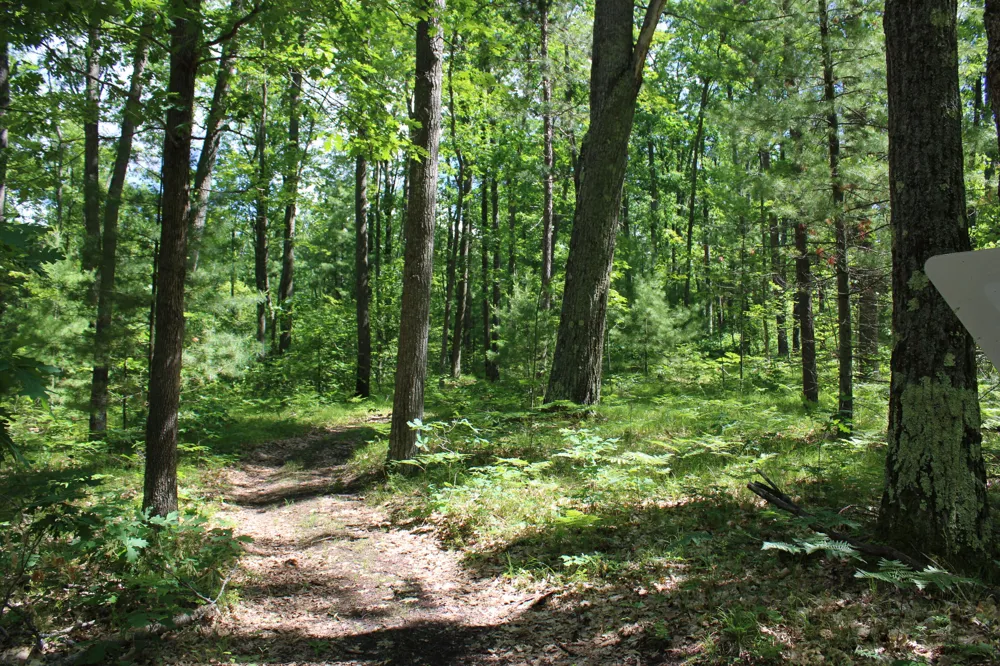 11870 Bayer Road Roscommon, MI 48653