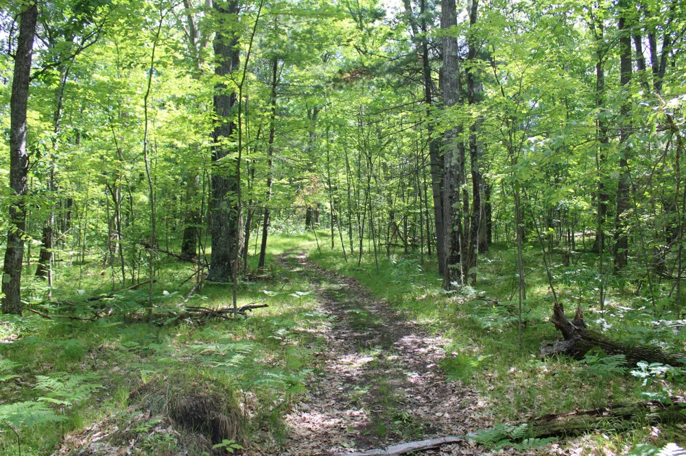 11870 Bayer Road Roscommon, MI 48653