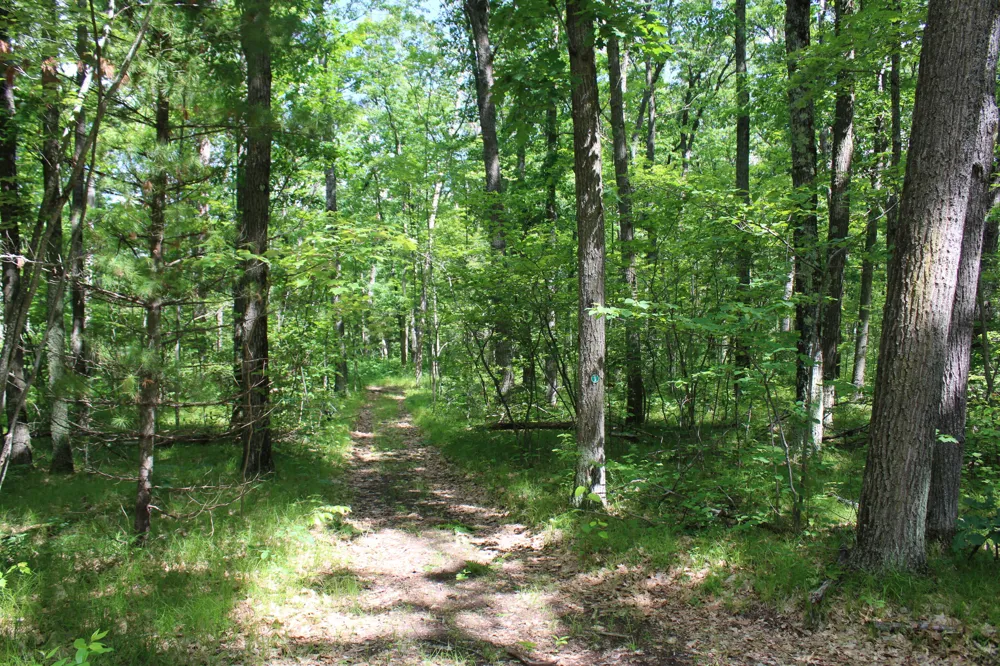 11870 Bayer Road Roscommon, MI 48653