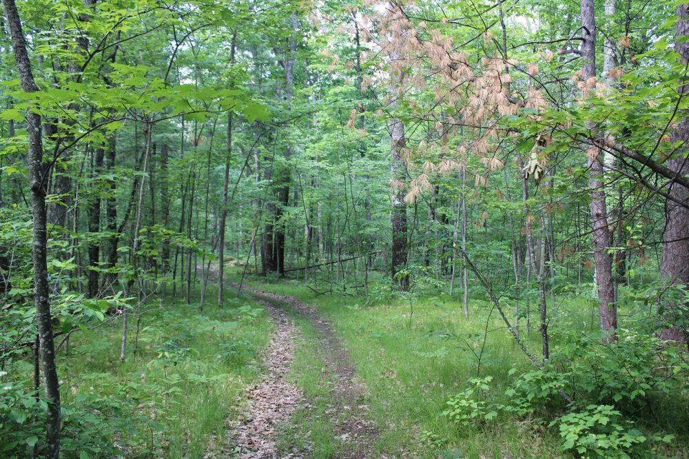 11870 Bayer Road Roscommon, MI 48653