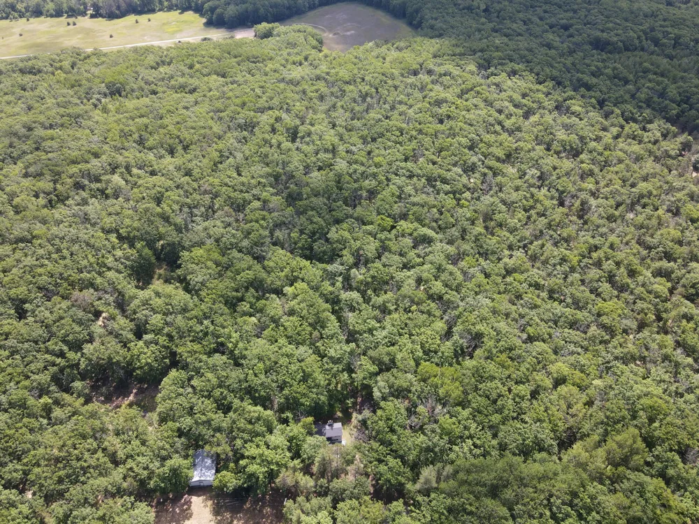 11870 Bayer Road Roscommon, MI 48653