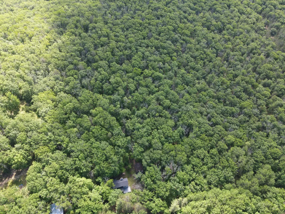 11870 Bayer Road Roscommon, MI 48653