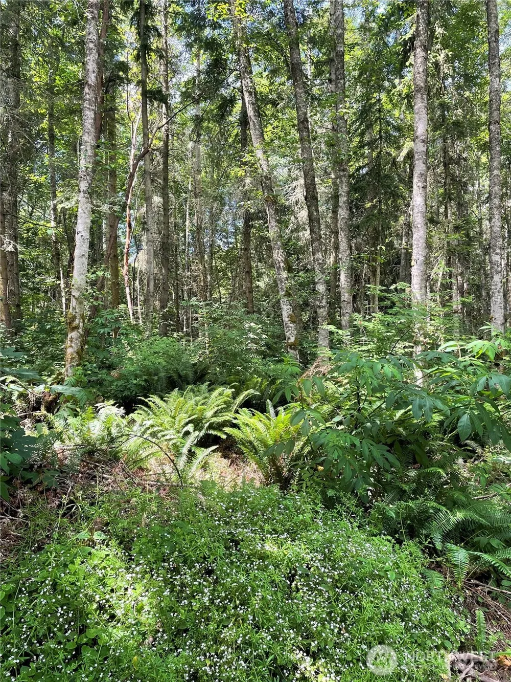 8807 Lot 2 SR 20 Port Townsend, WA 98368