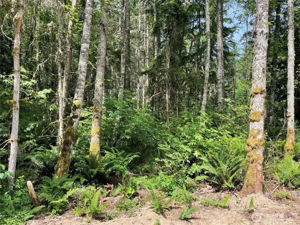8807 Lot 2 SR 20 Port Townsend, WA 98368