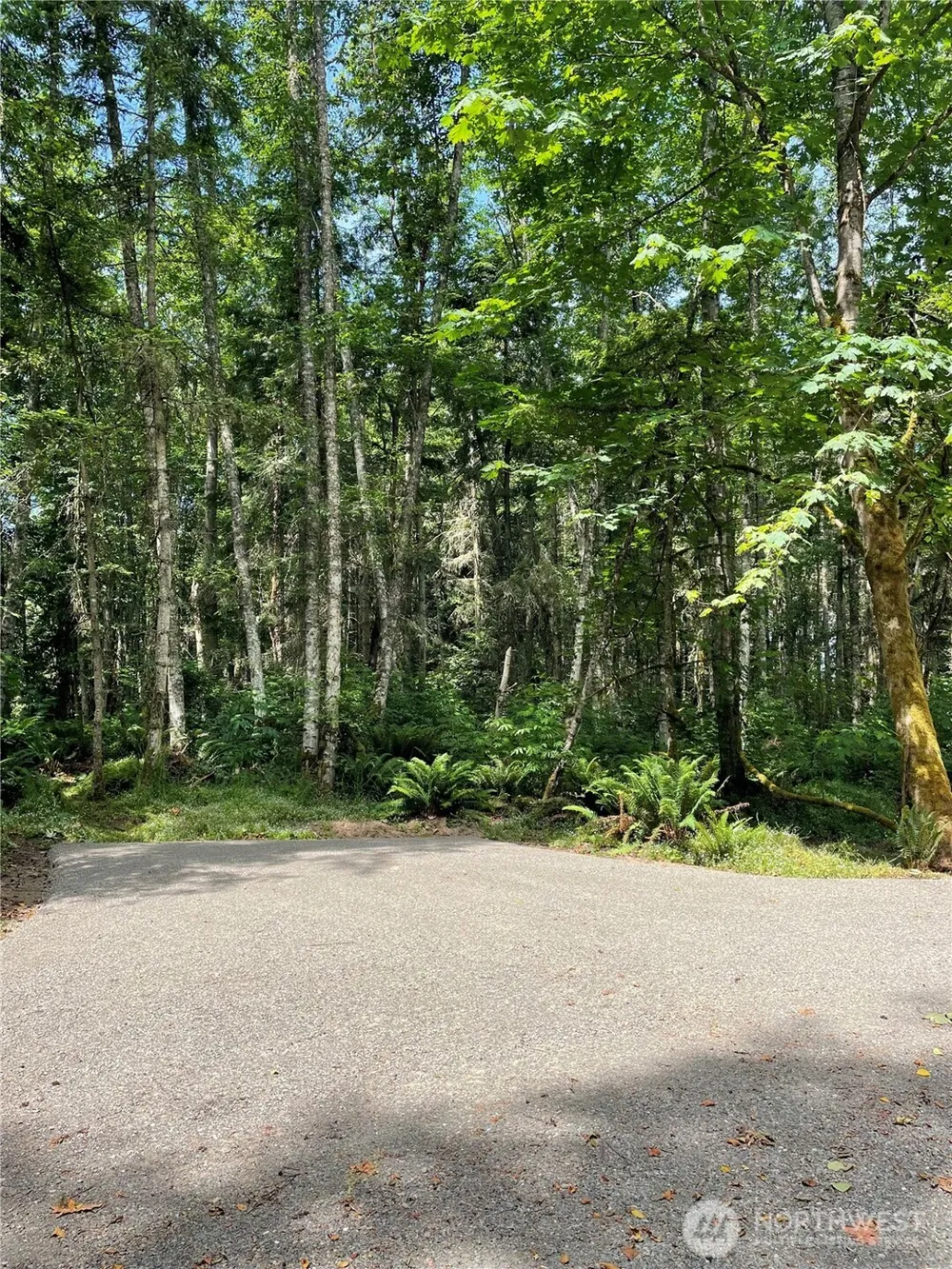 8807 Lot 2 SR 20 Port Townsend, WA 98368