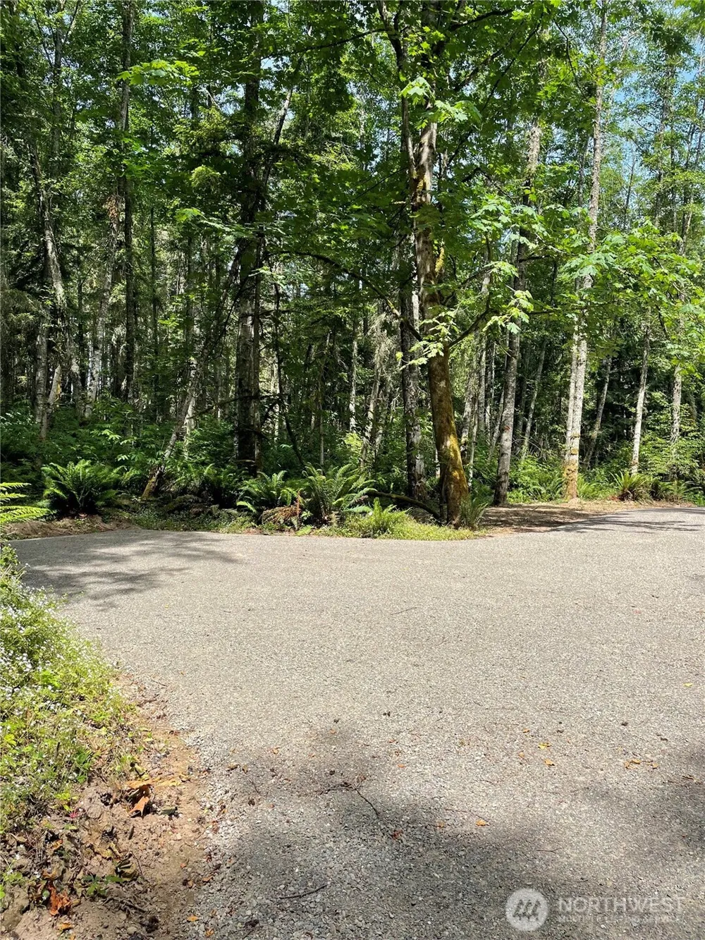 8807 Lot 2 SR 20 Port Townsend, WA 98368