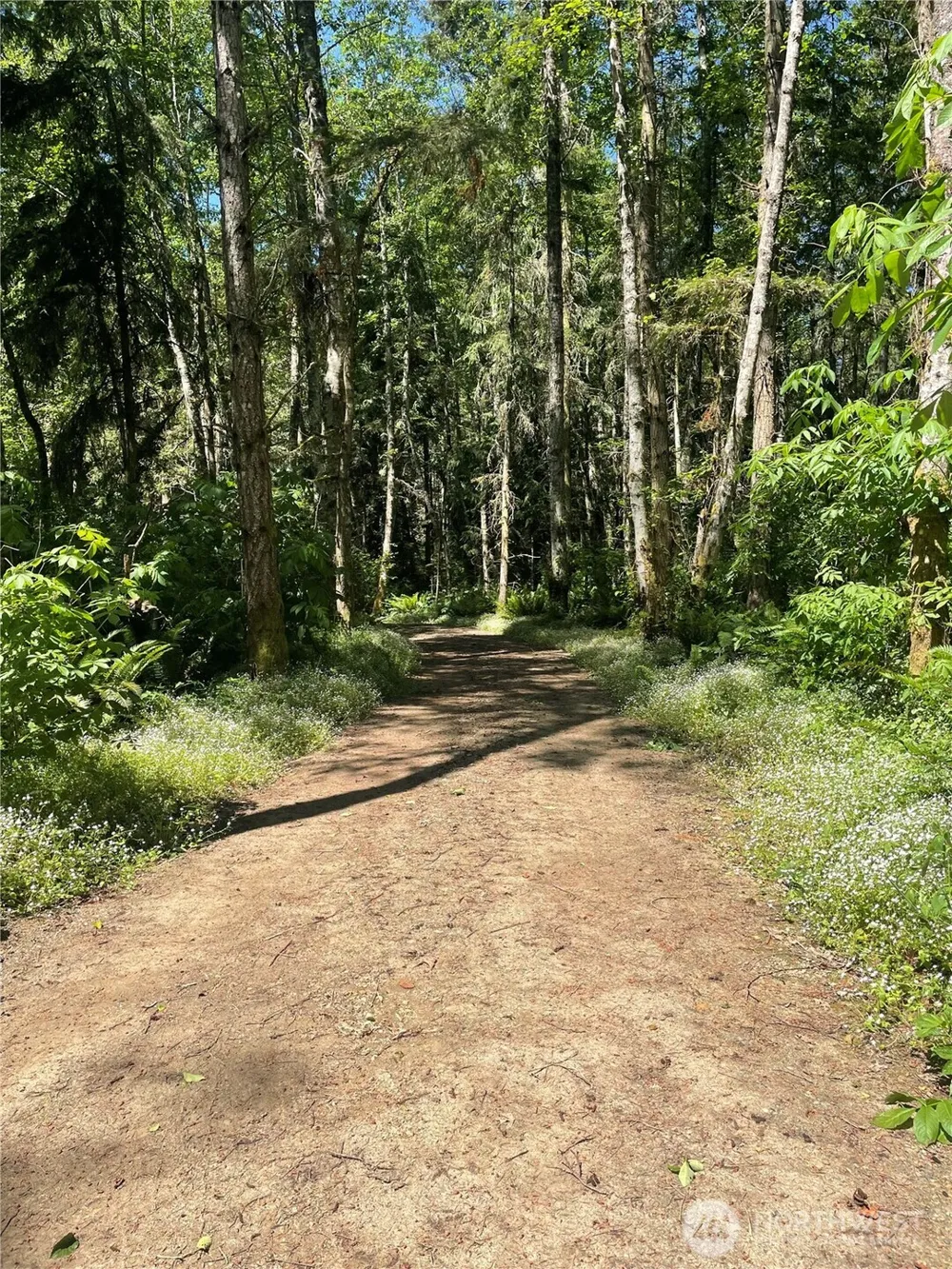 8807 Lot 2 SR 20 Port Townsend, WA 98368