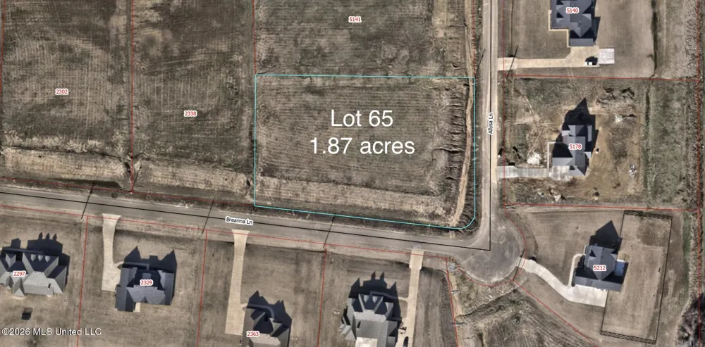 5185 Allysa Ln Hernando, MS 38632