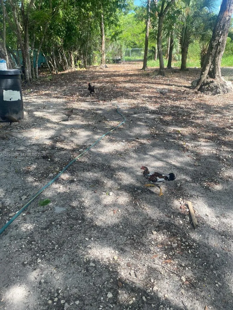 23625 125 AV Homestead, FL 33032