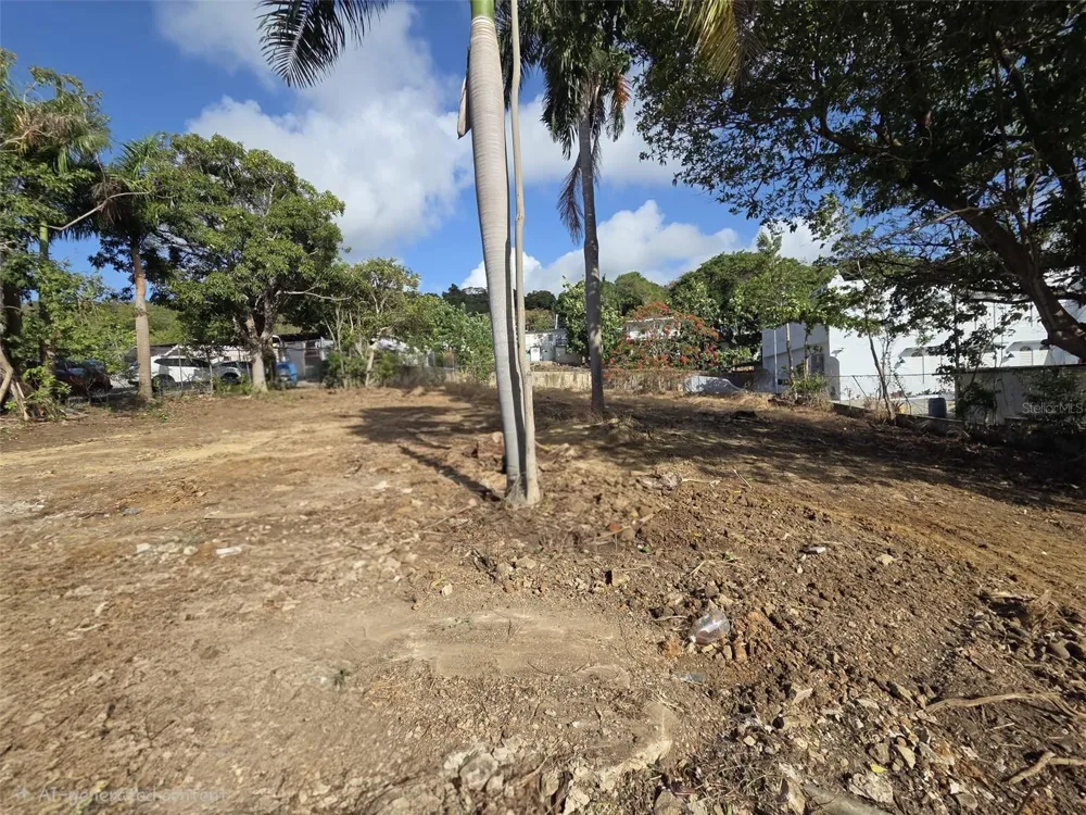 144 CARRETERA 3 Ceiba, PR 00735