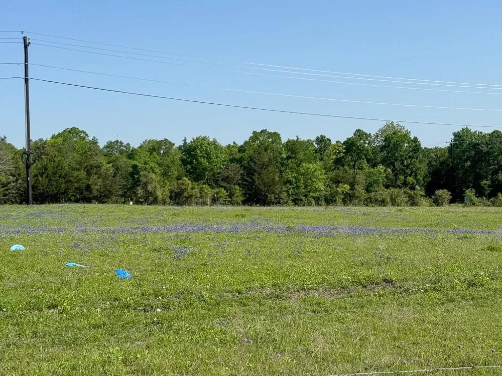 1496 Fm 149 Rd Road W Anderson, TX 77830