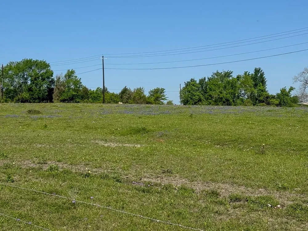 1496 Fm 149 Rd Road W Anderson, TX 77830