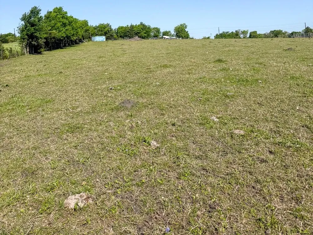 1496 Fm 149 Rd Road W Anderson, TX 77830