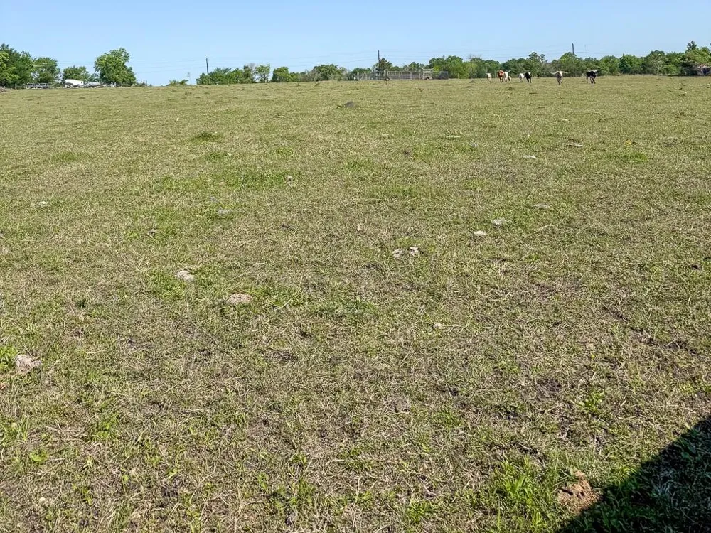 1496 Fm 149 Rd Road W Anderson, TX 77830