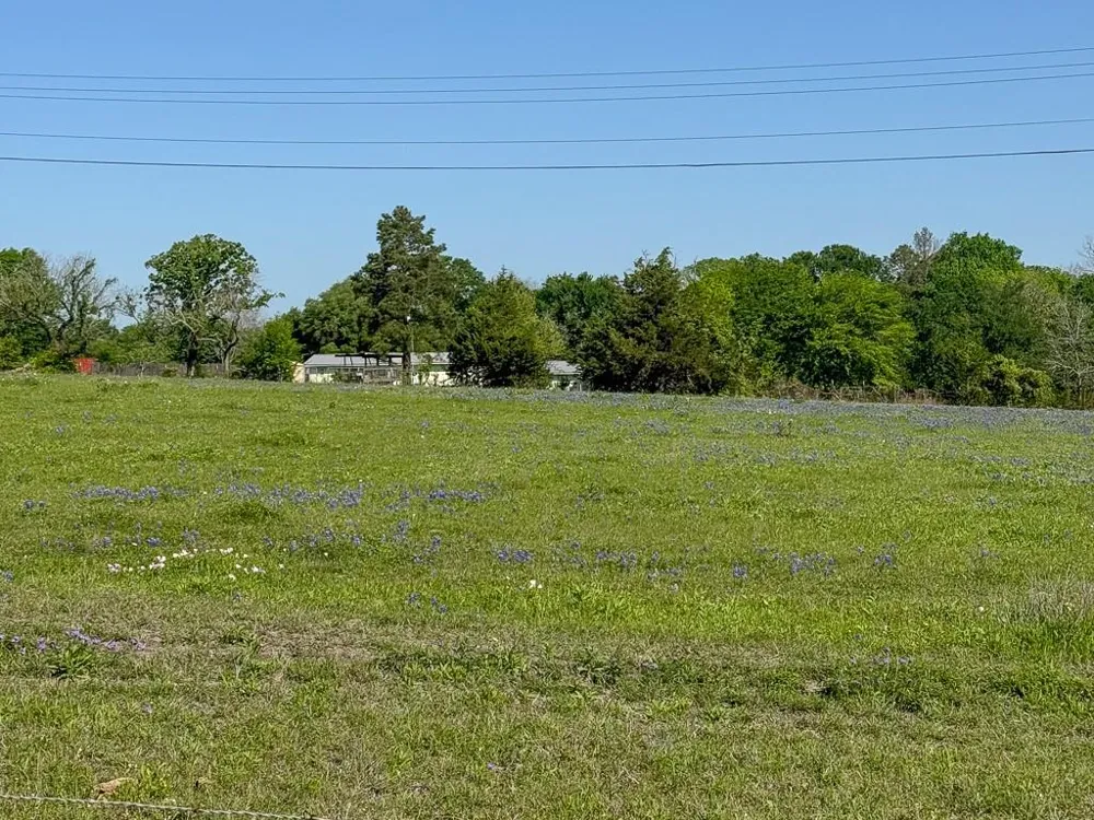 1496 Fm 149 Rd Road W Anderson, TX 77830